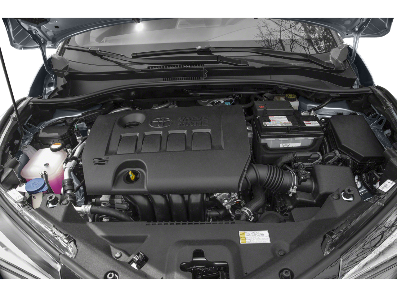2018 Toyota C-HR XLE FWD (Natl)