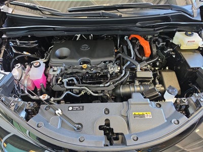 2025 Toyota Sienna LE