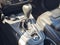 2021 Jeep Cherokee Altitude