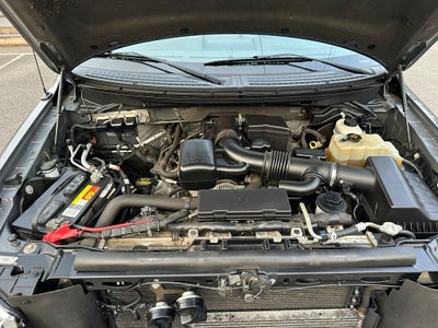 2010 Ford F-150 XLT