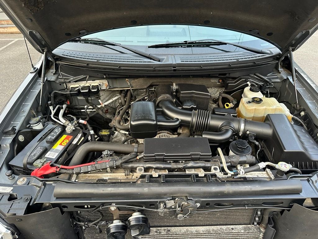 2010 Ford F-150 XLT