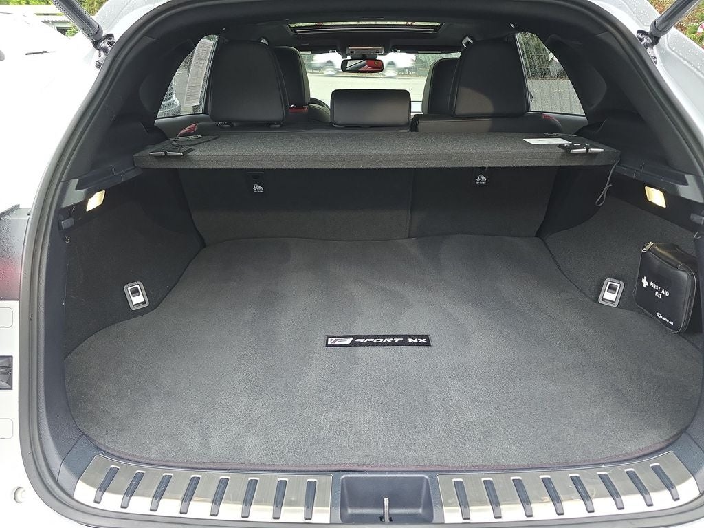 2020 Lexus NX 300 F Sport