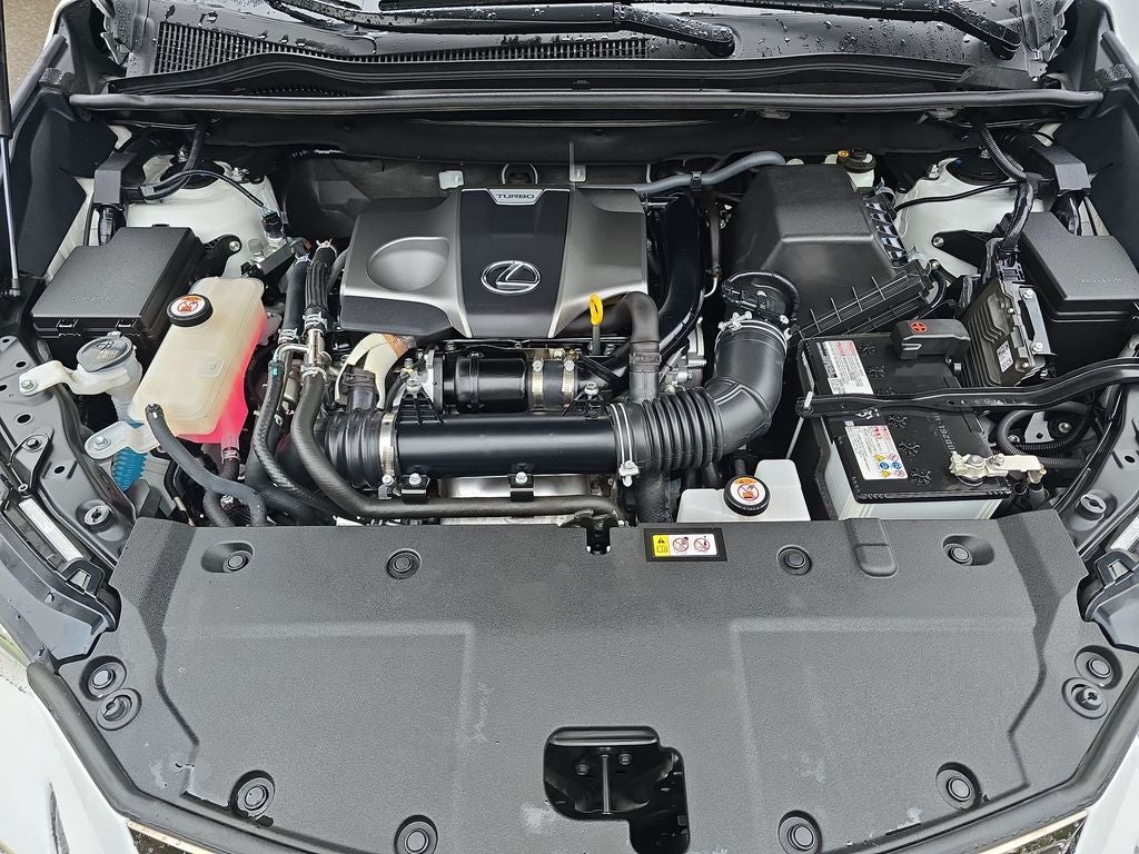 2020 Lexus NX 300 F Sport