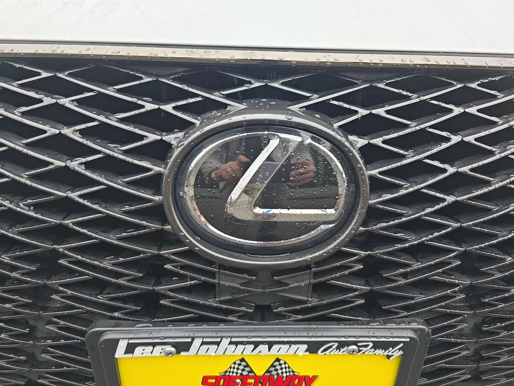 2020 Lexus NX 300 F Sport