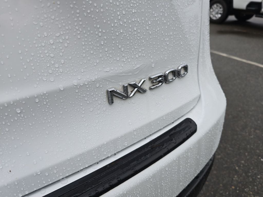 2020 Lexus NX 300 F Sport