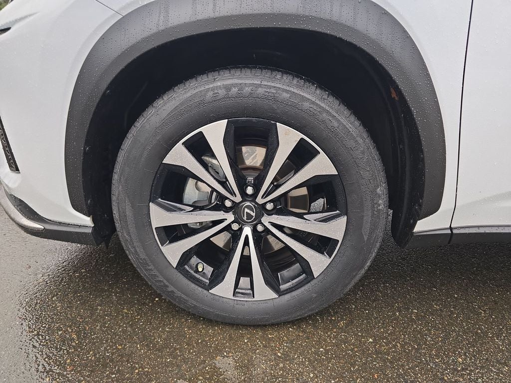 2020 Lexus NX 300 F Sport