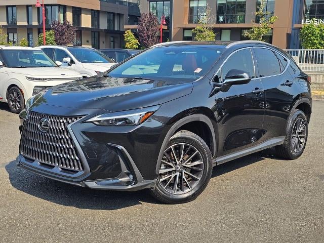 2024 Lexus NX 250 AWD