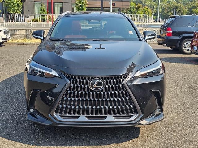 2024 Lexus NX 250 AWD