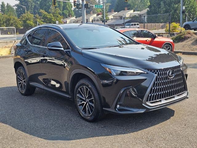 2024 Lexus NX 250 AWD