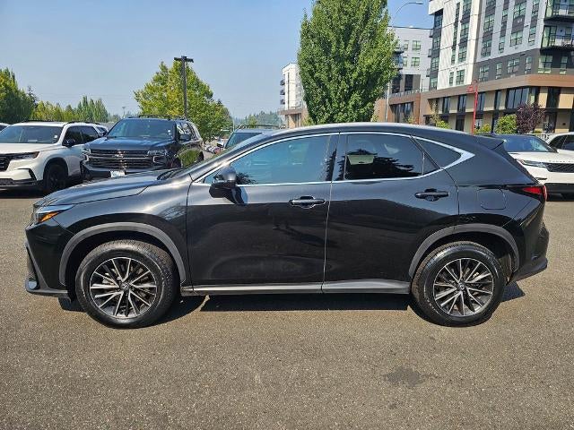 2024 Lexus NX 250 AWD
