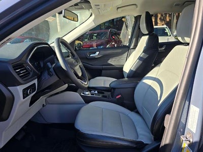 2023 Ford Escape Platinum AWD