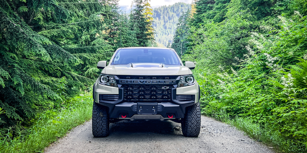  Green Chevy surrounded by green trees